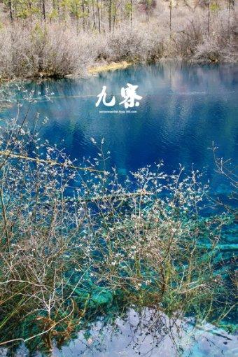 三友生物有机肥价格